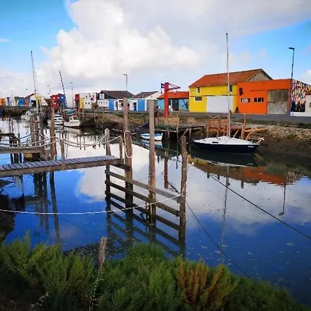 Maison Avec Fauteuil Suspendu Et Lit De Jour Pres De La En Vendee Dom wakacyjny