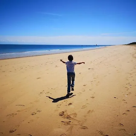 Maison Avec Fauteuil Suspendu Et Lit De Jour Pres De La En Vendee Dom wakacyjny *