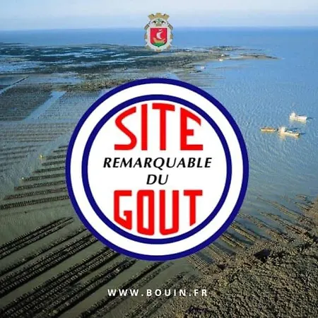 Maison Avec Fauteuil Suspendu Et Lit De Jour Pres De La En Vendee Dom wakacyjny