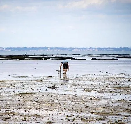 Maison Avec Fauteuil Suspendu Et Lit De Jour Pres De La En Vendee 別荘