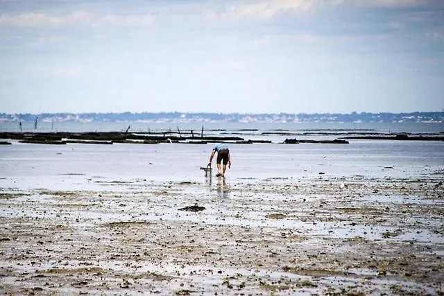Maison Avec Fauteuil Suspendu Et Lit De Jour Pres De La En Vendee Дом отдыха