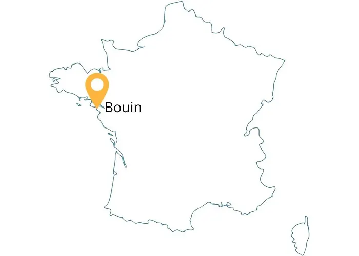 Maison Avec Fauteuil Suspendu Et Lit De Jour Pres De La En Vendee