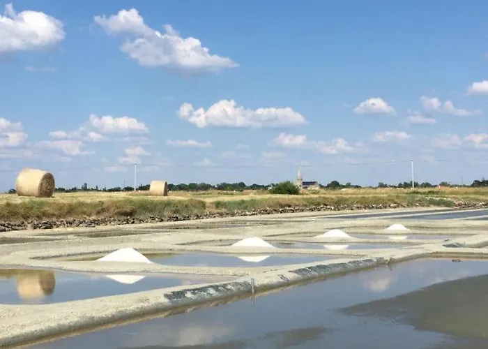 Дом отдыха Maison Avec Fauteuil Suspendu Et Lit De Jour Pres De La En Vendee *